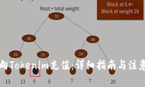 怎么向Tokenim充值：详细指南与注意事项