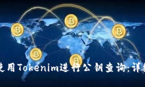 如何使用Tokenim进行公钥查询：详细指南