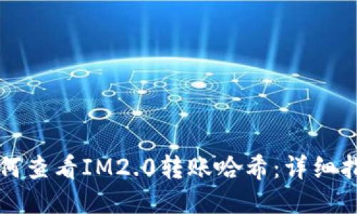 如何查看IM2.0转账哈希：详细指南