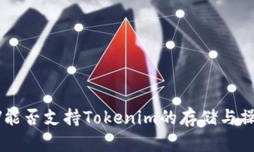 BSV能否支持Tokenim的存储与操作？