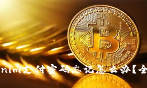 Title: Tokenim支付密码忘记怎么办？全面解决方案