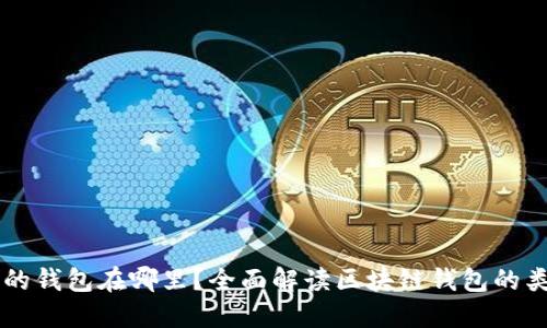 区块链APP：我的钱包在哪里？全面解读区块链钱包的类型与使用技巧