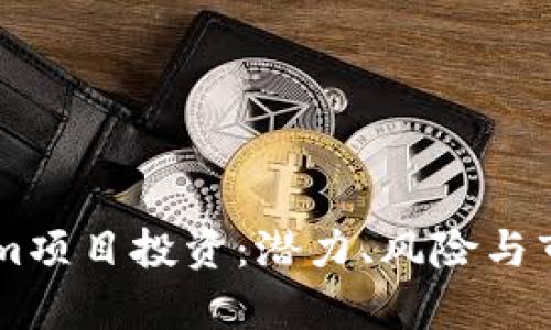 关于Tokenim项目投资：潜力、风险与市场前景分析