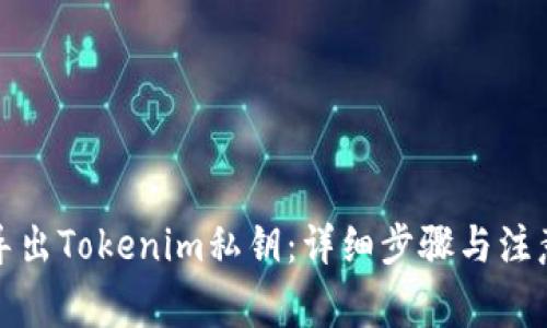 如何导出Tokenim私钥：详细步骤与注意事项