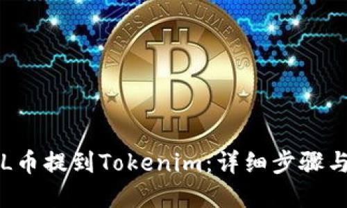 如何将FIL币提到Tokenim：详细步骤与实用指南