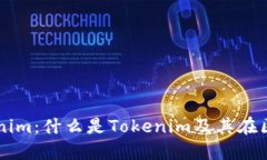 深入理解Tokenim：什么是