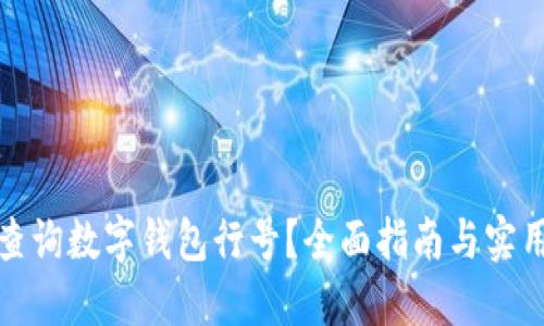 如何查询数字钱包行号？全面指南与实用技巧