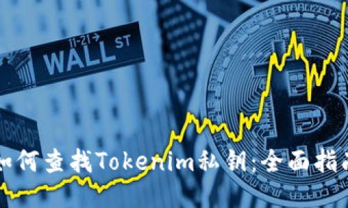 如何查找Tokenim私钥：全面指南