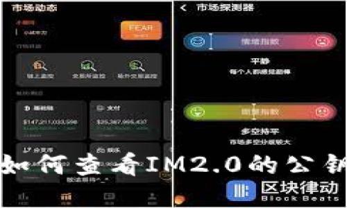 如何查看IM2.0的公钥