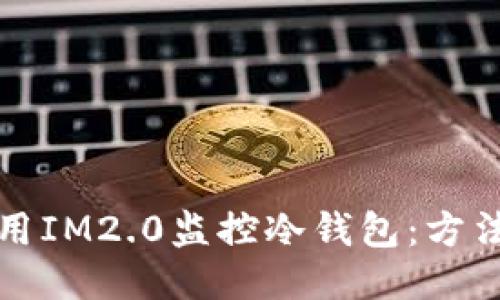 如何使用IM2.0监控冷钱包：方法与技巧