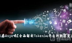 Tokenim能存Doge吗？全面解析