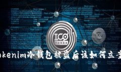 tokenim冷钱包被盗后该如何