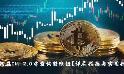 如何在IM 2.0中查询转账链？详尽指南与实用技巧