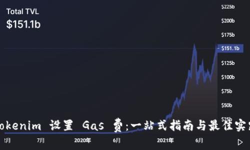 Tokenim 设置 Gas 费：一站式指南与最佳实践