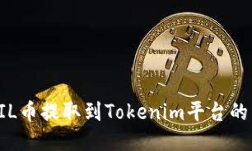 如何将FIL币提取到Tokenim平台的详细指南