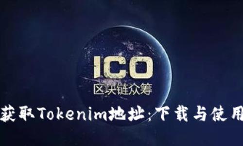 如何获取Tokenim地址：下载与使用指南