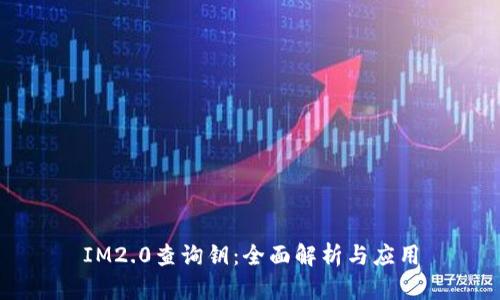 IM2.0查询钥：全面解析与应用