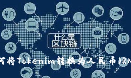 如何将Tokenim转换为人民币（RMB）