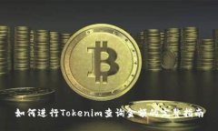 如何进行Tokenim查询金额的