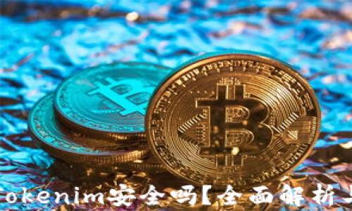 
将币提到Tokenim安全吗？全面解析与风险分析