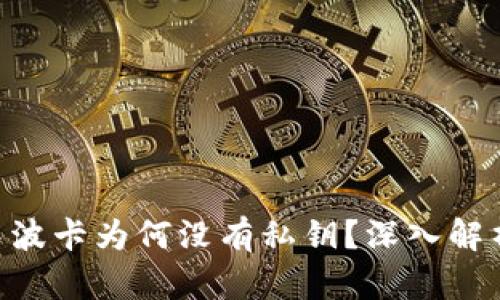 IM2.0中波卡为何没有私钥？深入解析与理解