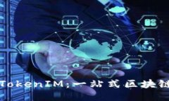 如何高效使用TokenIM：一站