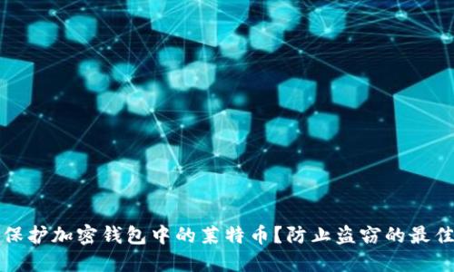 如何保护加密钱包中的莱特币？防止盗窃的最佳实践