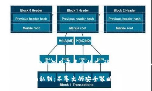 注意：以下内容仅为虚构示例用于展示格式。请根据实际情况进行修改。

如何保护你的Tokenim私钥：不导出的安全策略