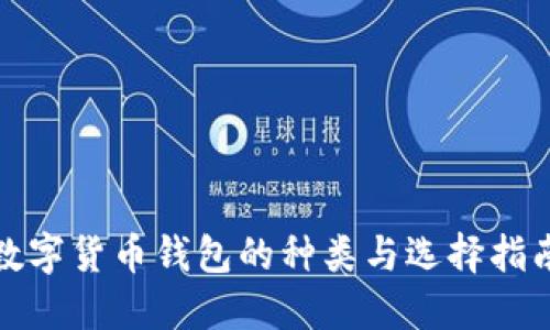 数字货币钱包的种类与选择指南