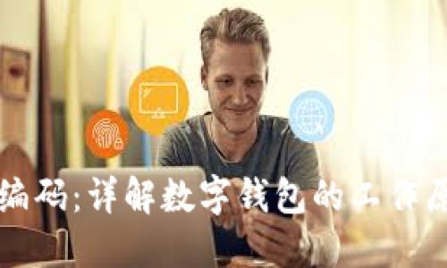 如何查看数字钱包编码：详解数字钱包的工作原理与编码查询方法