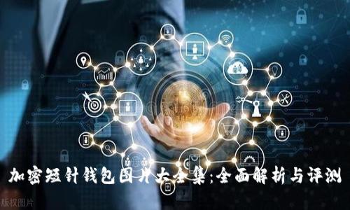 加密短针钱包图片大全集：全面解析与评测