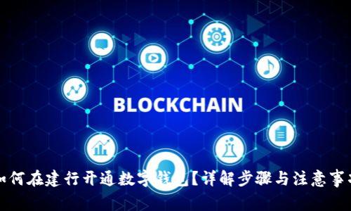 如何在建行开通数字钱包？详解步骤与注意事项
