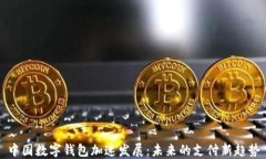中国数字钱包加速发展：