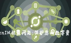 如何应对TokenIM被盗问题：