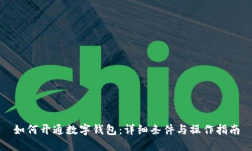 如何开通数字钱包：详细条件与操作指南