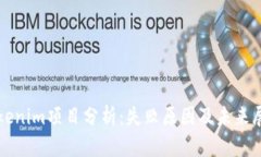 Tokenim项目分析：失败原因