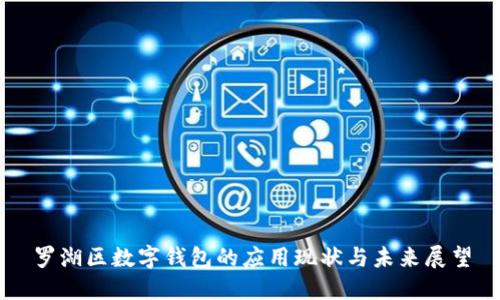 罗湖区数字钱包的应用现状与未来展望
