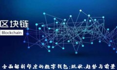 全面解析印度的数字钱包