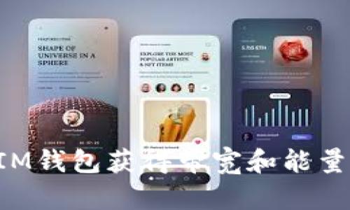 如何通过IM钱包获得带宽和能量：全面指南