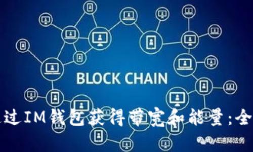 如何通过IM钱包获得带宽和能量：全面指南