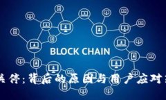 IM关停：背后的原因与用户应对策略